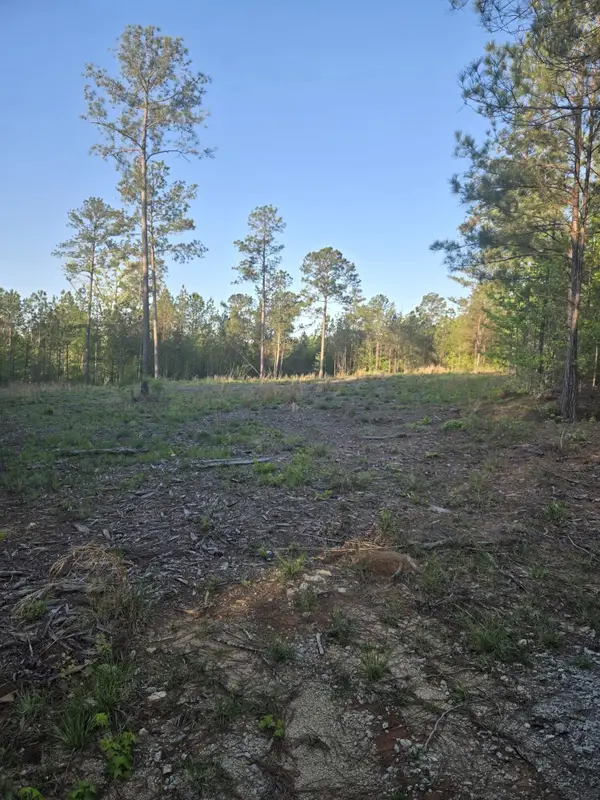 0 Sweetgum Lane, Lincolnton, GA 30817