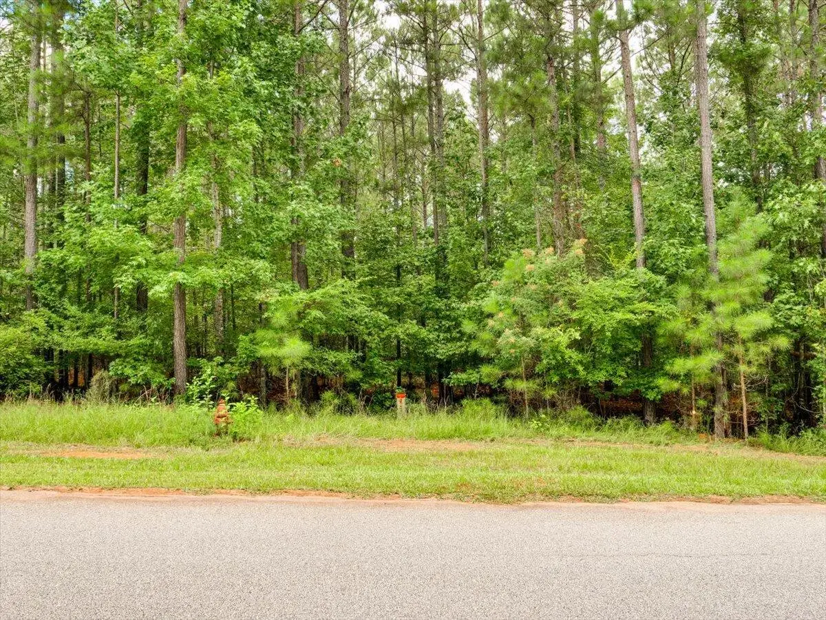 Lot 58 Lighthouse Pointe, Lincolnton, GA 30817 - #1