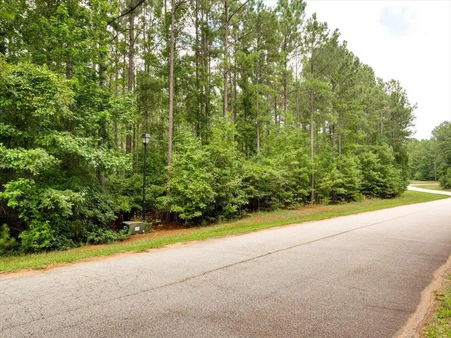 Lot 58 Lighthouse Pointe, Lincolnton, GA 30817 - #2