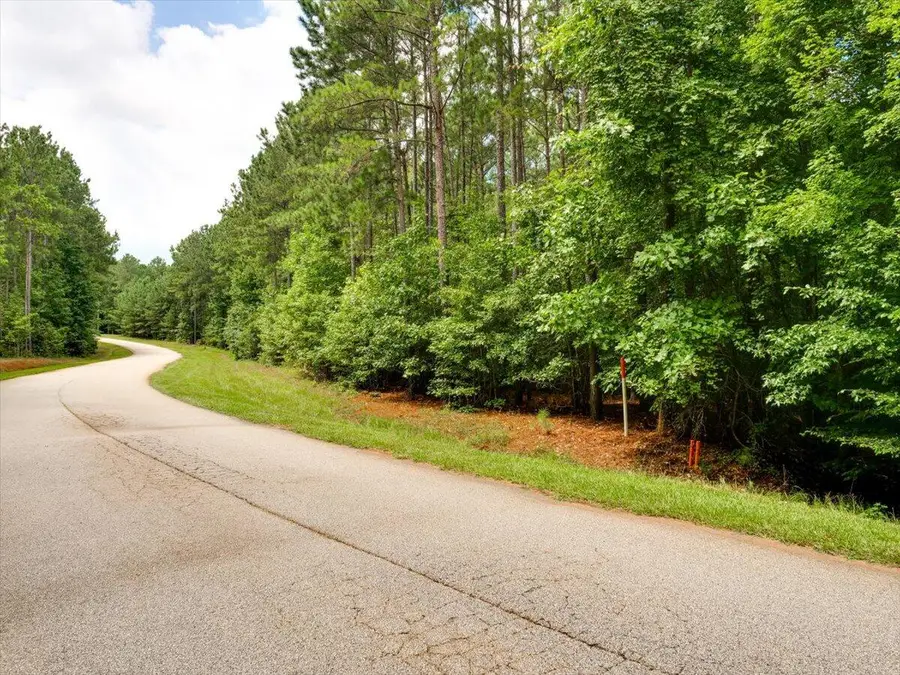 Lot 58 Lighthouse Pointe, Lincolnton, GA 30817 - #3