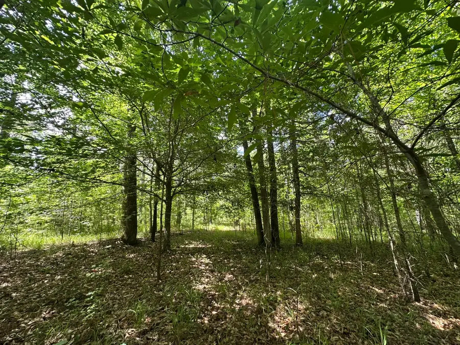 Lot 11 South Pointe Drive, Tignall, GA 30668 - #2