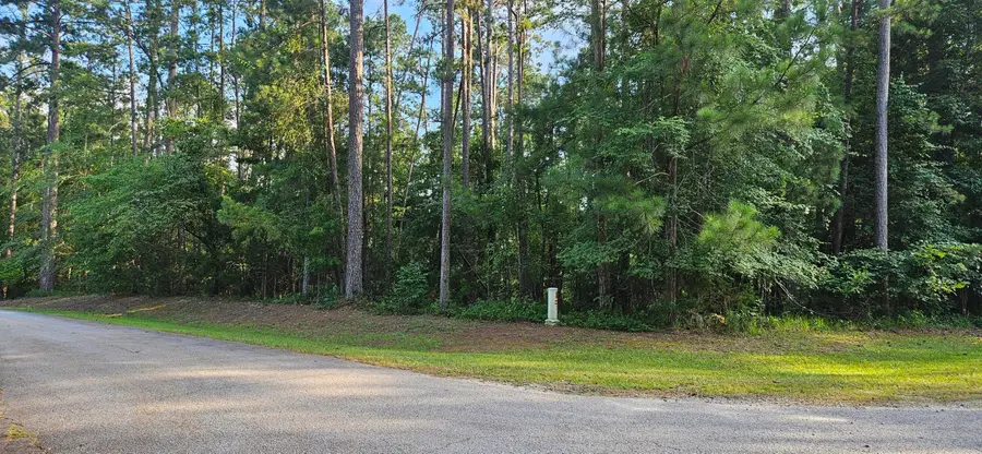 Bl 6 Lot 9 Davis Drive, McCormick, SC  - #2