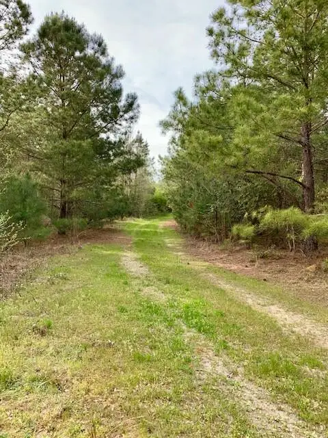 2405 Hwy 88, Hephzibah, GA  - #2