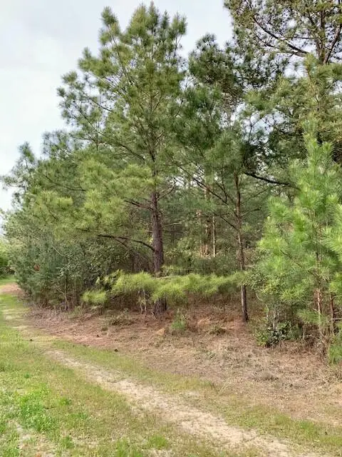 2405 Hwy 88, Hephzibah, GA  - #3