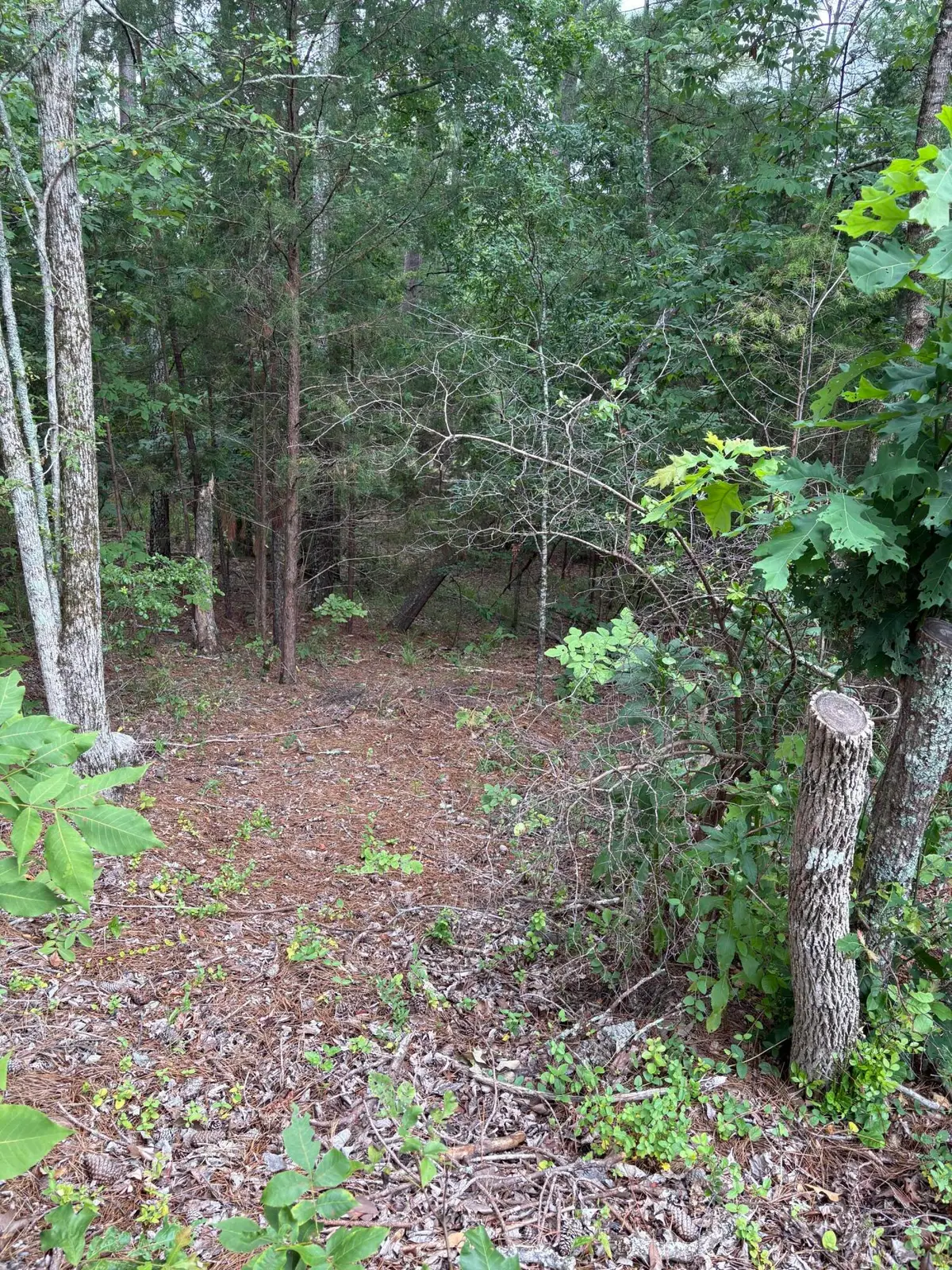 Lot 15 Overlook Point, McCormick, SC  - #1