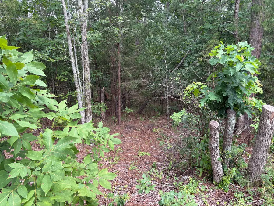 Lot 15 Overlook Point, McCormick, SC  - #2