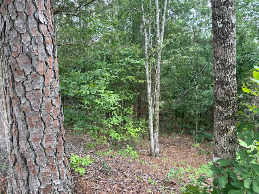 Lot 15 Overlook Point, McCormick, SC  - #3