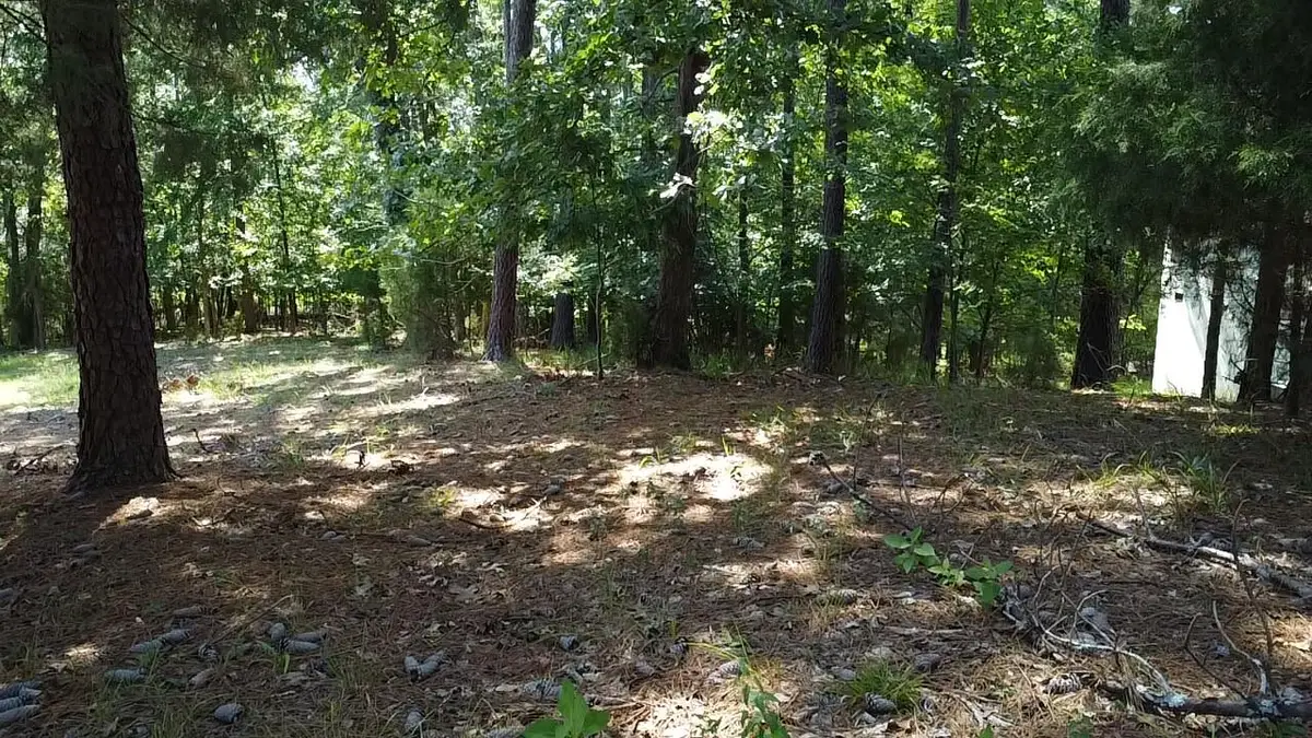 45 Wildmeade Court, North Augusta, SC 29841 - #1