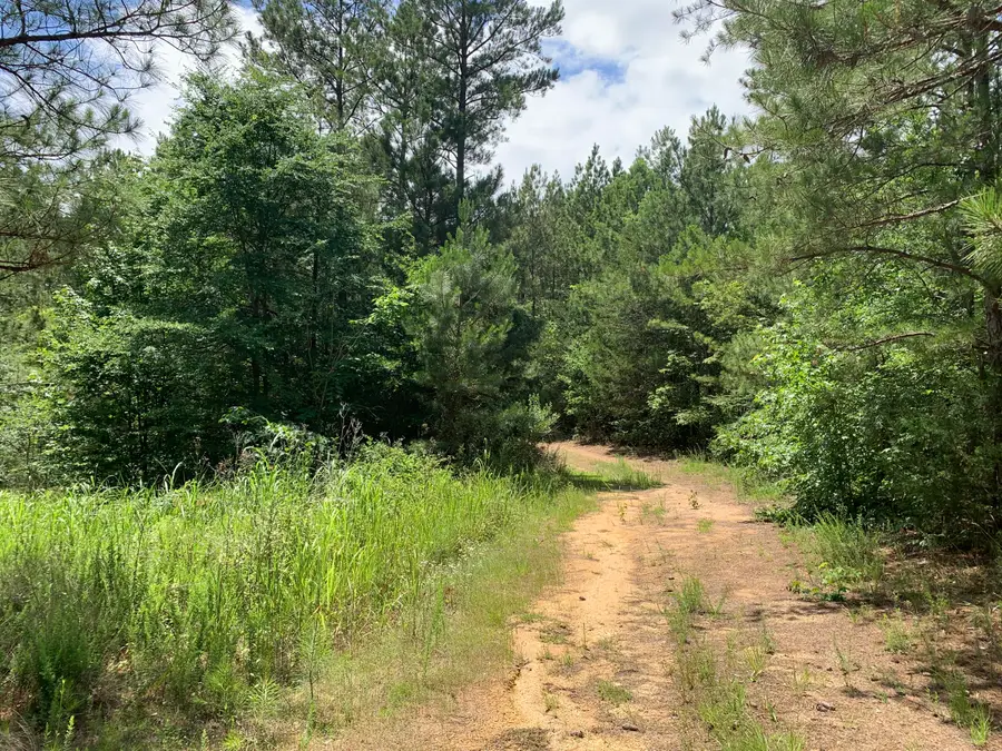 Na Metasville Road, Lincolnton, GA 30817 - #2