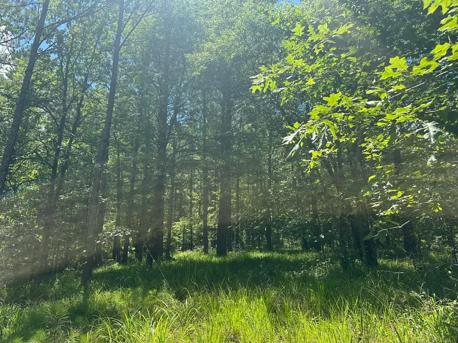 Lot 27 Honeysuckle Trail, Lincolnton, GA 30817 - #2