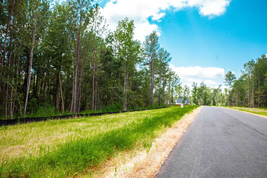 Lot 18 Leyland Court, Clarks Hill, SC 29821 - #2