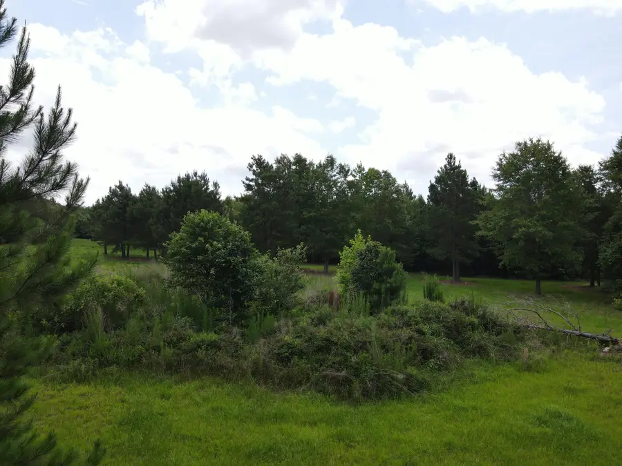 00 Reynolds Road, Barnwell, SC 29812 - #3