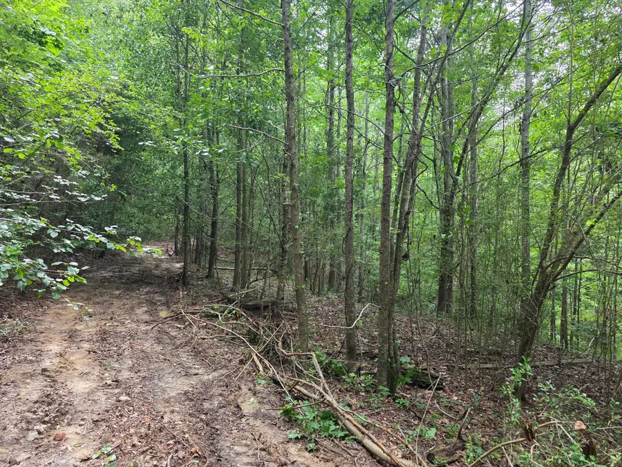 2031 Mcdade Road, Hephzibah, GA  - #2