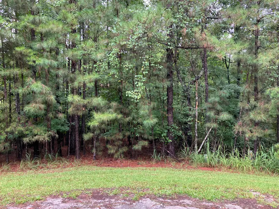 Bl13 Lt19 Logan Ln, McCormick, SC 29835 - #3