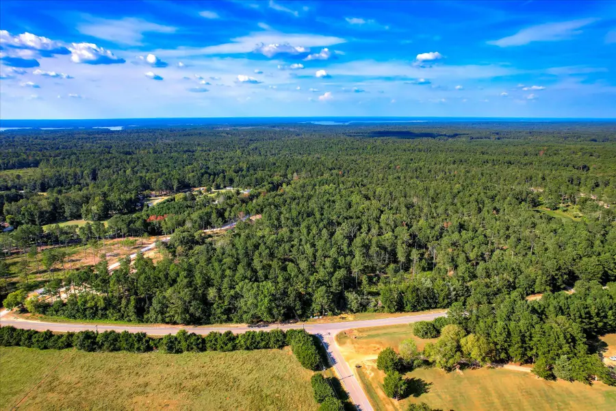 6345 Cobbham Road, Appling, GA 30802 - #2
