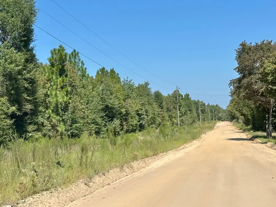 Lot 11 Marie Vann Road, Waynesboro, GA 30830 - #2