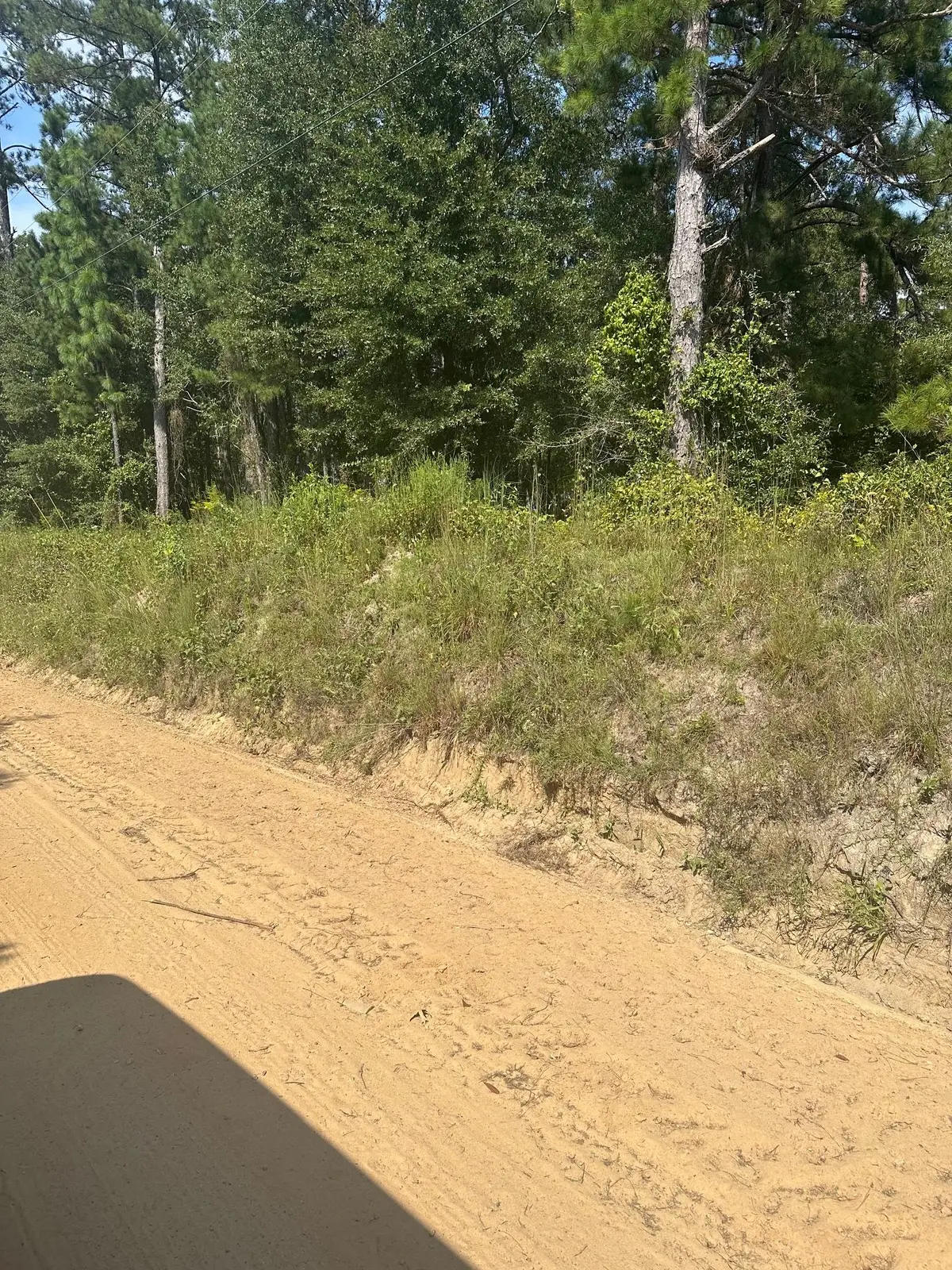 000 Wrens Highway, Thomson, GA  - #1