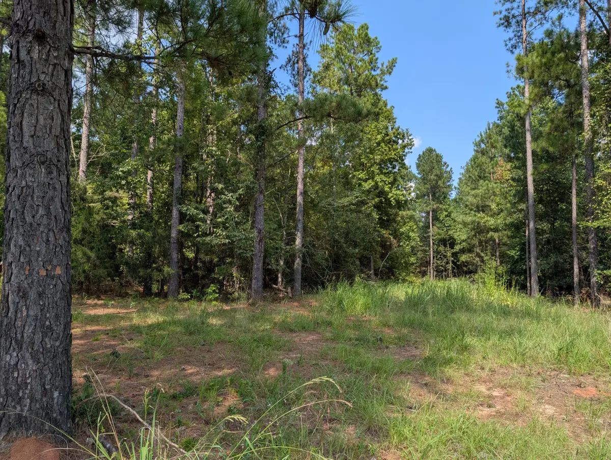 00a Elberton Hwy, Lincolnton, GA 30817 - #1
