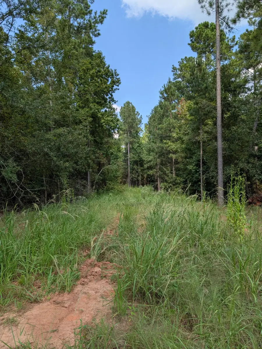 00a Elberton Hwy, Lincolnton, GA 30817 - #2