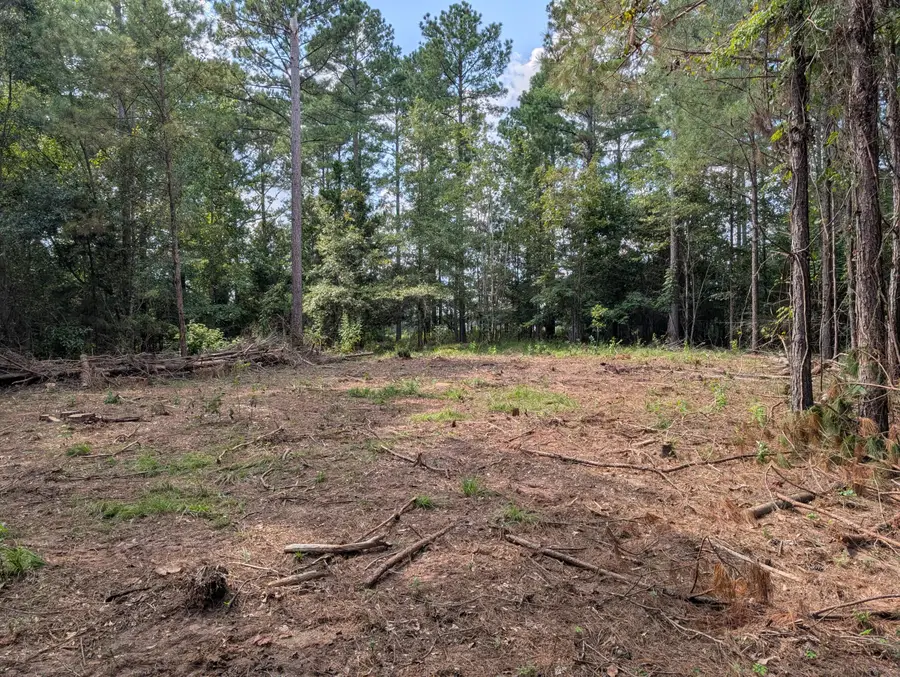 00a Elberton Hwy, Lincolnton, GA 30817 - #3