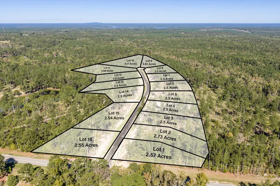 111 Beagle Chase Drive, Appling, GA 30802 - #2