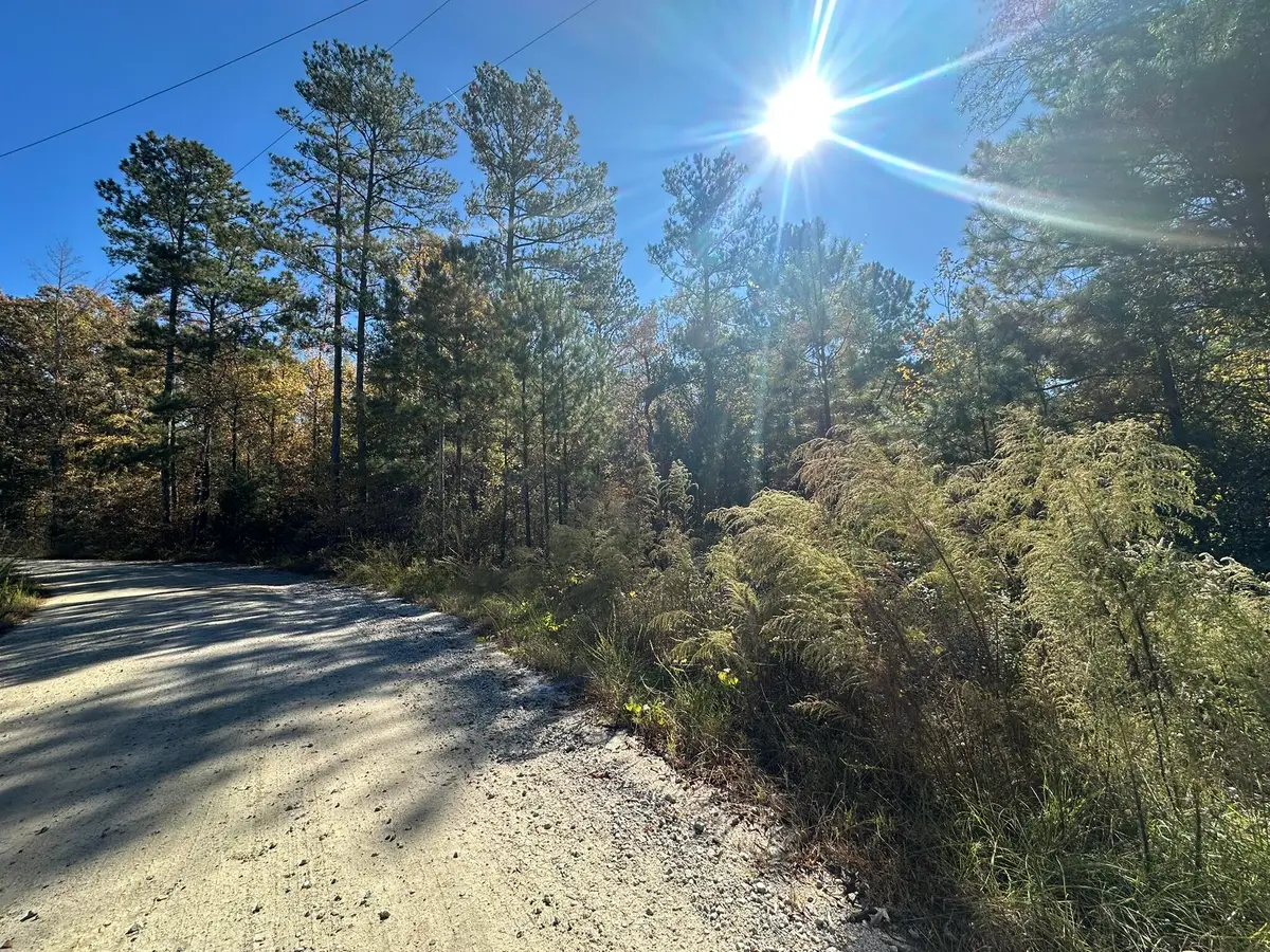 Lot 27&28 Lakeshore Estates Drive, Lincolnton, GA 30817 - #1