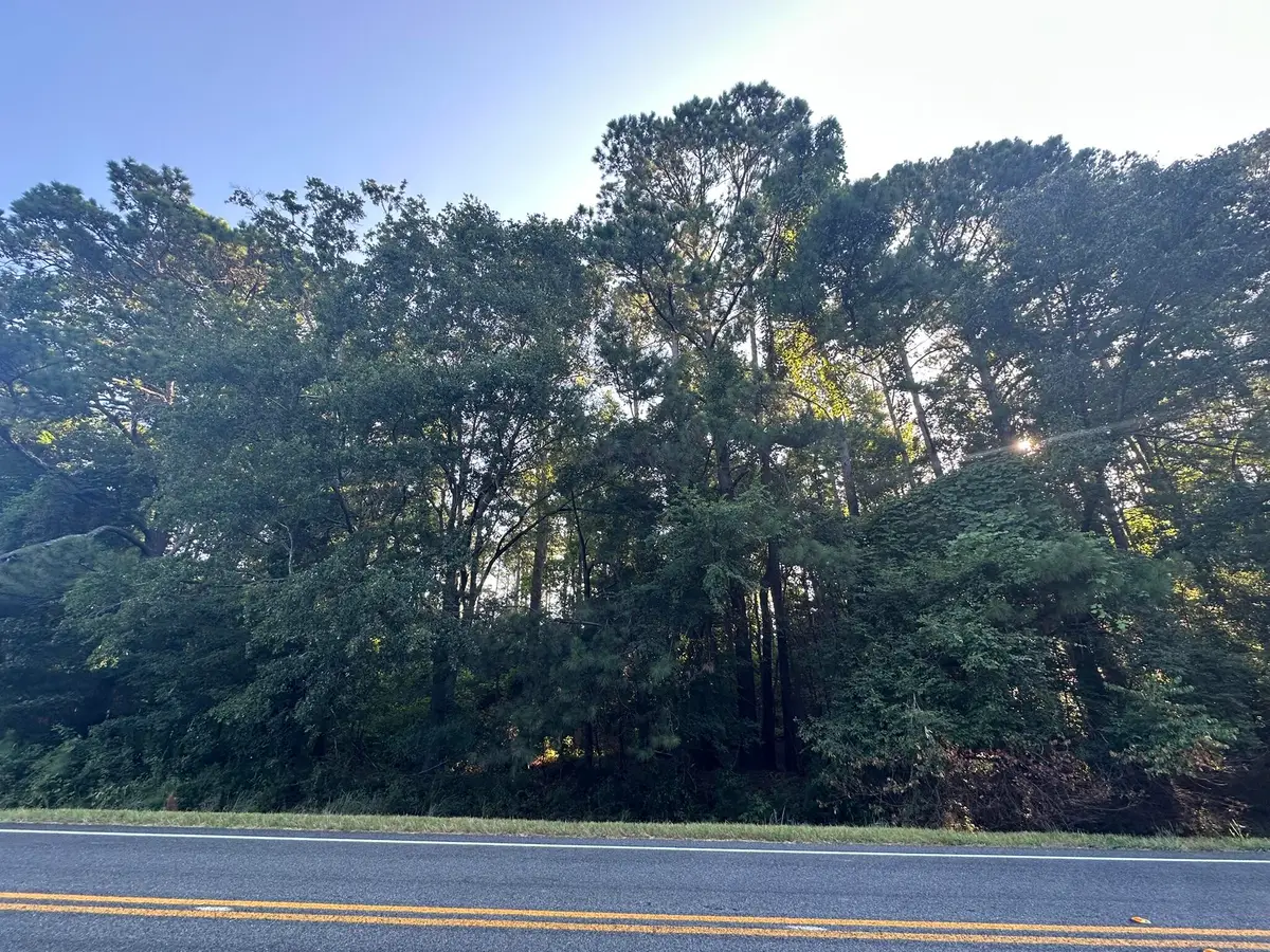 Lot 3a Elberton Highway, Lincolnton, GA 30817 - #1