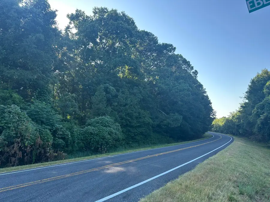Lot 3a Elberton Highway, Lincolnton, GA 30817 - #2