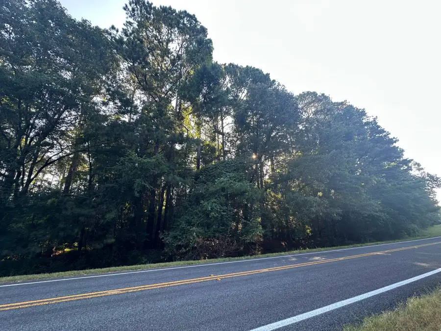 Lot 3a Elberton Highway, Lincolnton, GA 30817 - #3