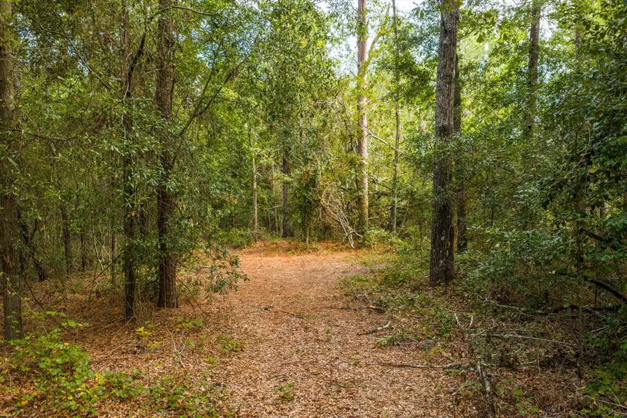1503 Hephzibah - Mcbean Road, Hephzibah, GA 30815 - #2