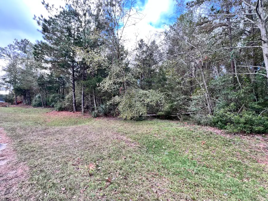 Lot B Ridge Road, Appling, GA 30802 - #2