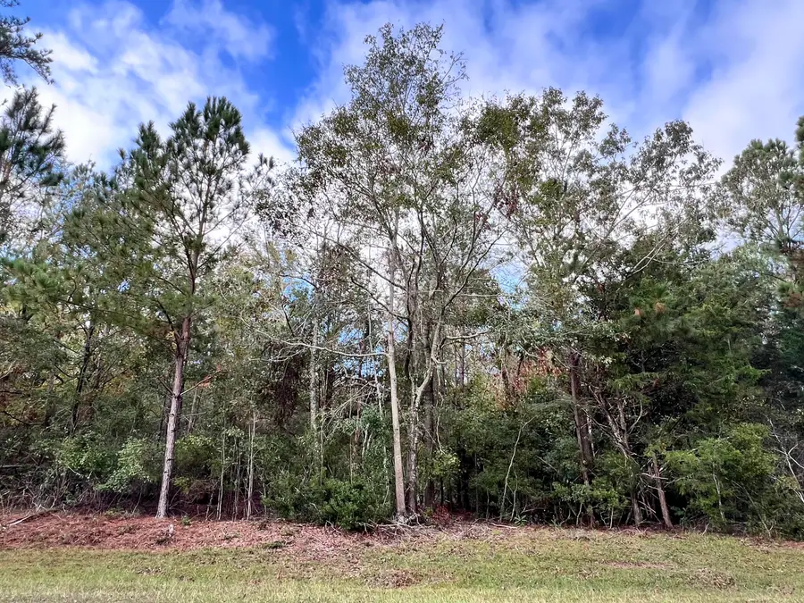 Lot B Ridge Road, Appling, GA 30802 - #3