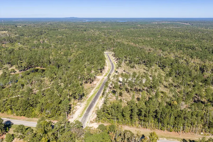 166 Beagle Chase Drive, Appling, GA 30802 - #3