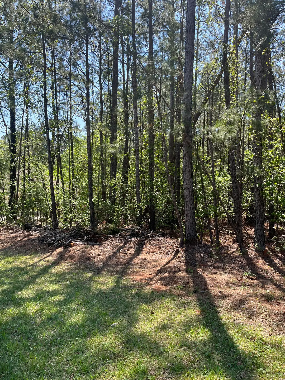 L14 B39 Antioch Drive, McCormick, SC  - #1