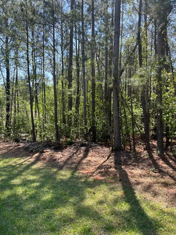 L14 B39 Antioch Drive, McCormick, SC 