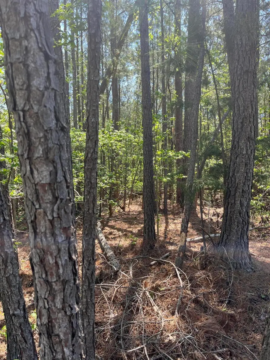 L14 B39 Antioch Drive, McCormick, SC  - #2