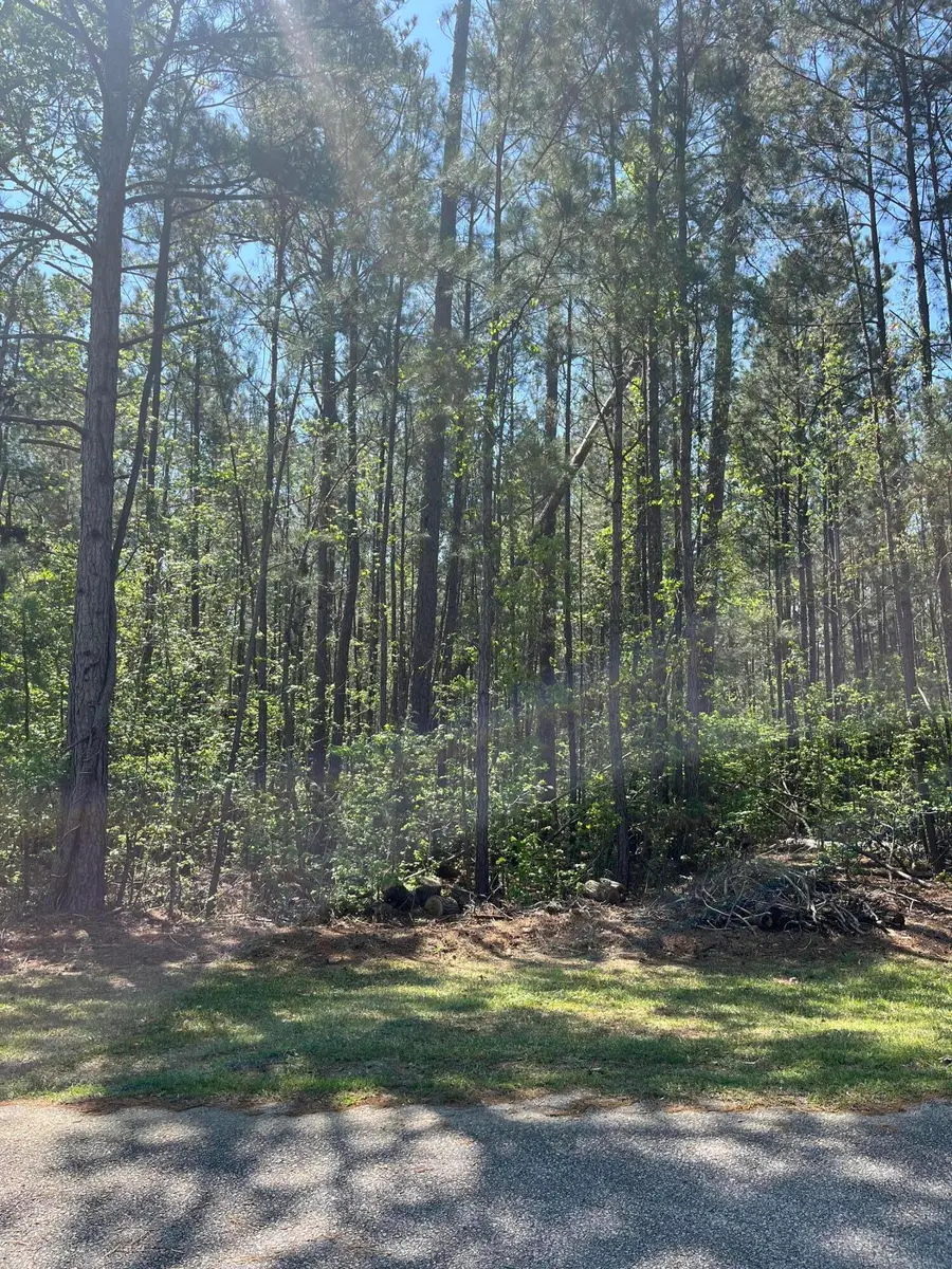 L14 B39 Antioch Drive, McCormick, SC  - #3