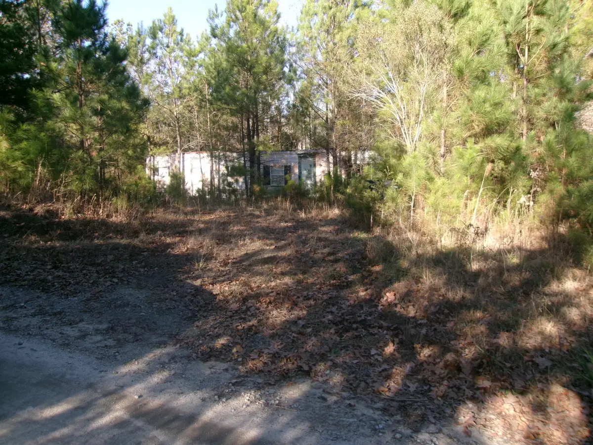 6291 Knox Drive, Appling, GA 30802 - #1