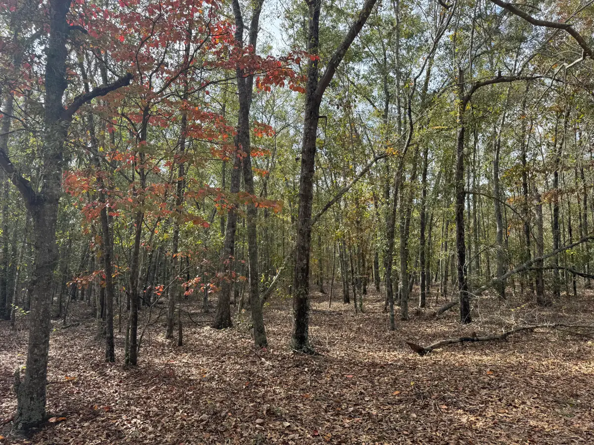 Lot 11 Highway 88, Blythe, GA 30805 - #1