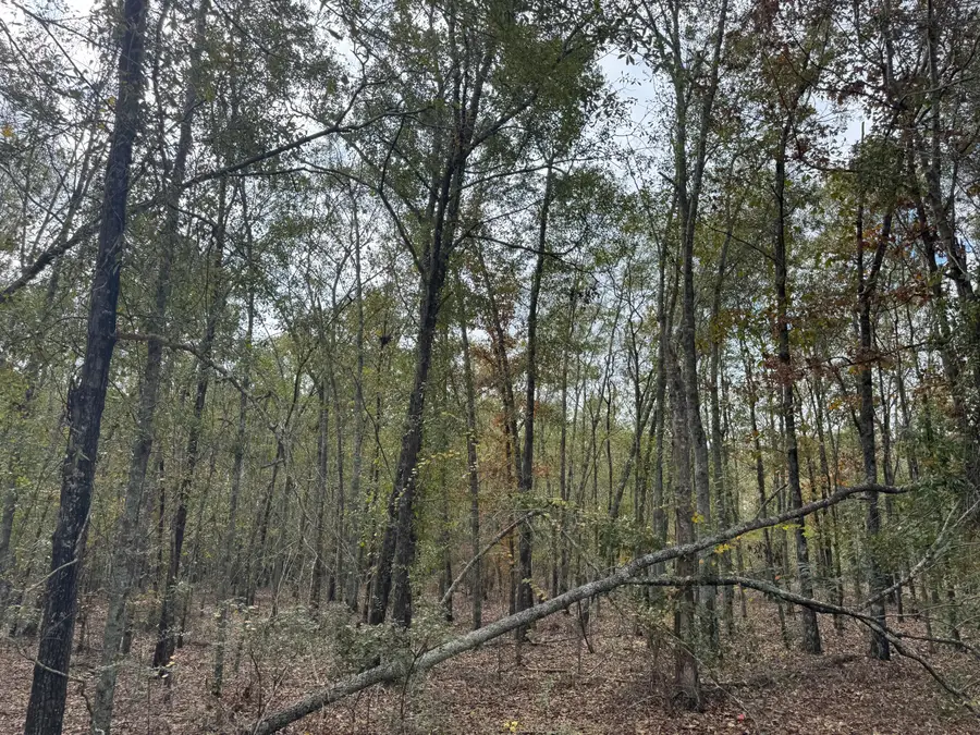 Lot 11 Highway 88, Blythe, GA 30805 - #2