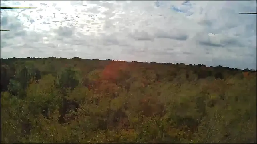 Lot 11 Highway 88, Blythe, GA 30805 - #3