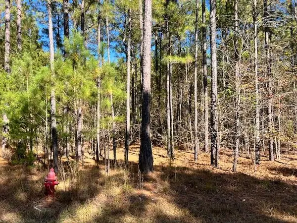 0 Mariners Way, Lincolnton, GA 30817