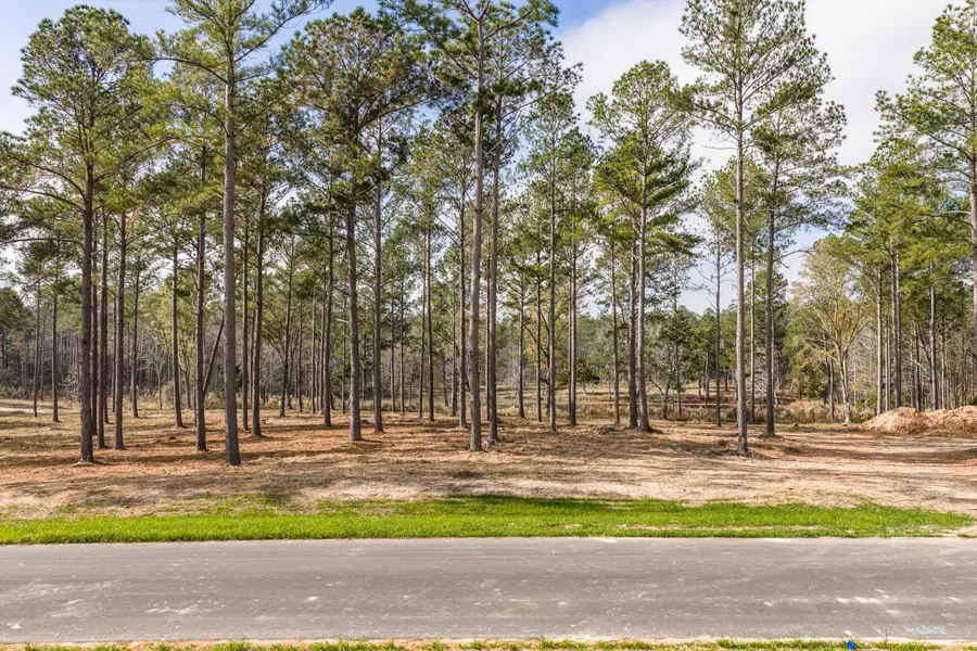 128 Beagle Chase Drive, Appling, GA 30802 - #3