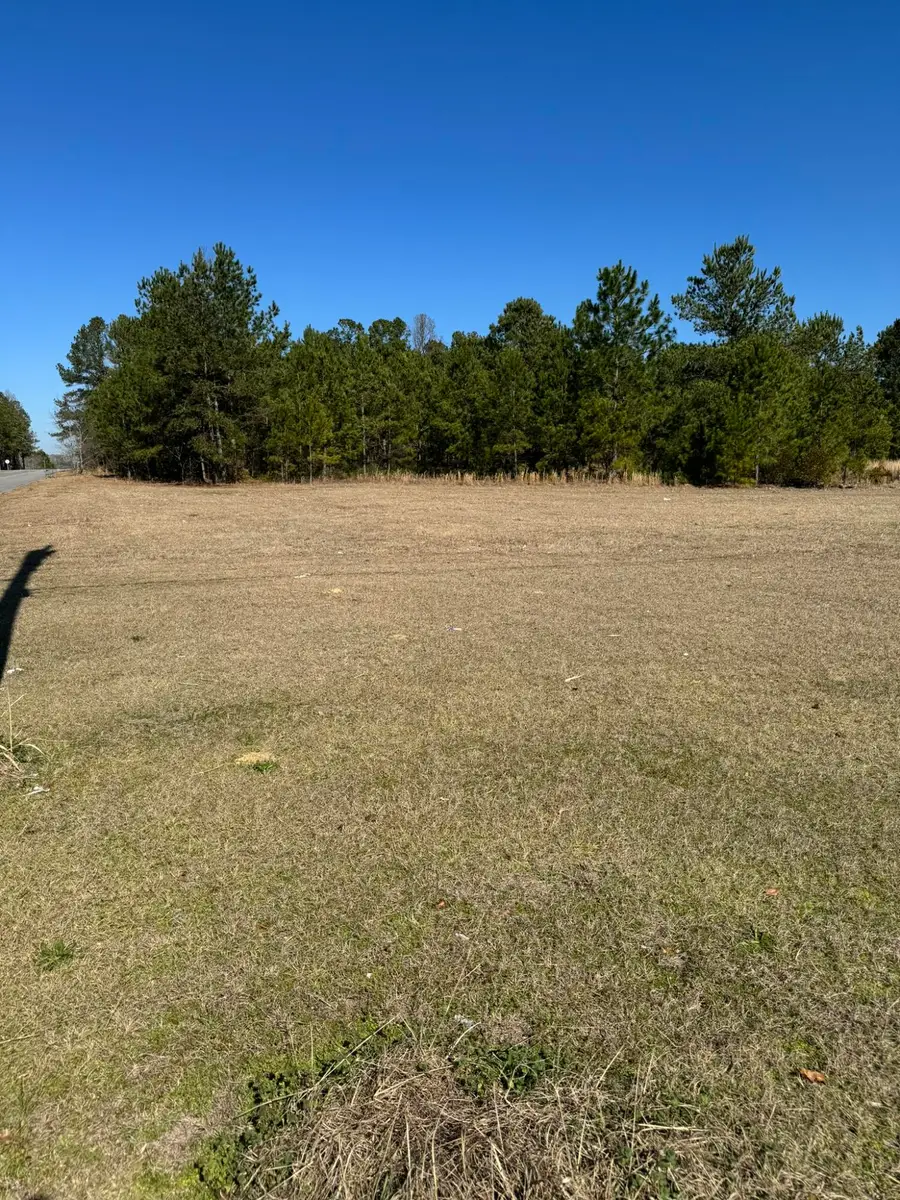 0 Dunbarton Boulevard, Barnwell, SC 29812 - #2