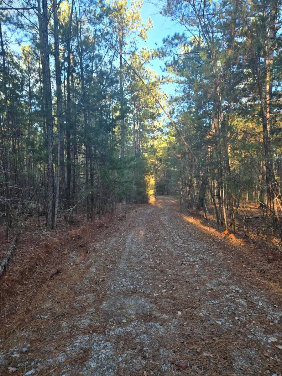 0 Pineridge Drive, Lincolnton, GA 30817 - #2