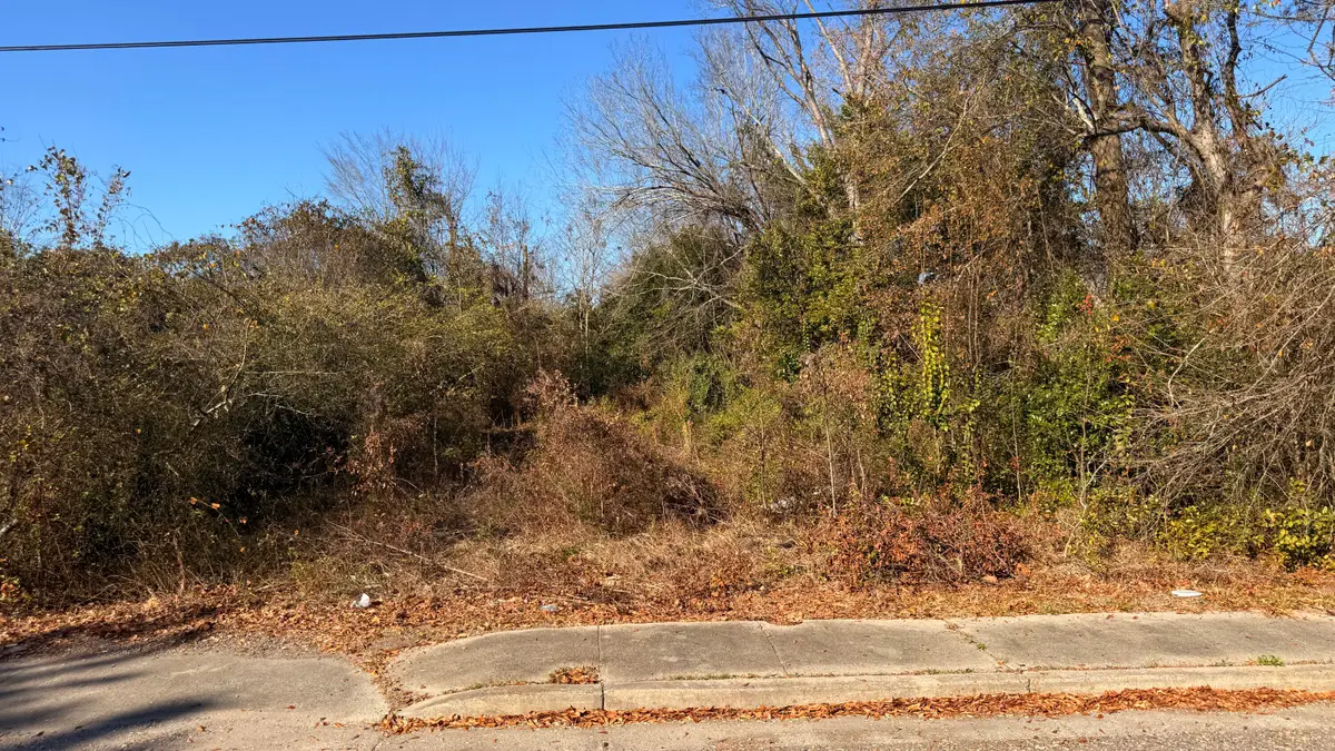 2235 Dyer Street, Augusta, GA 30901 - #1