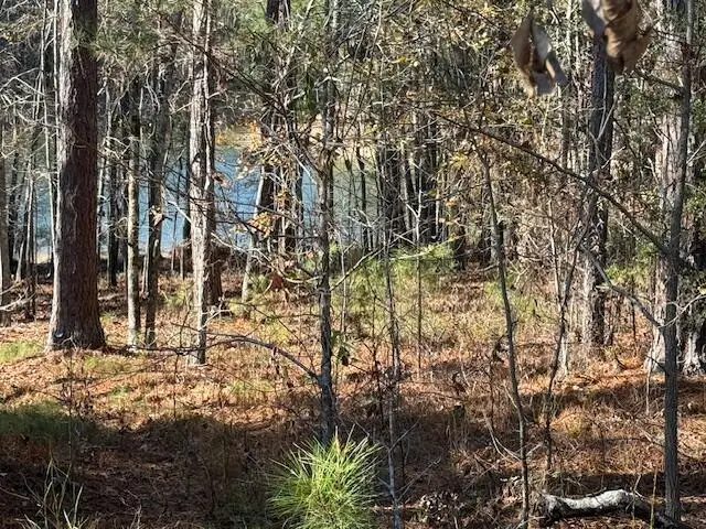 4-14 Old Ferry Road, McCormick, SC  - #3