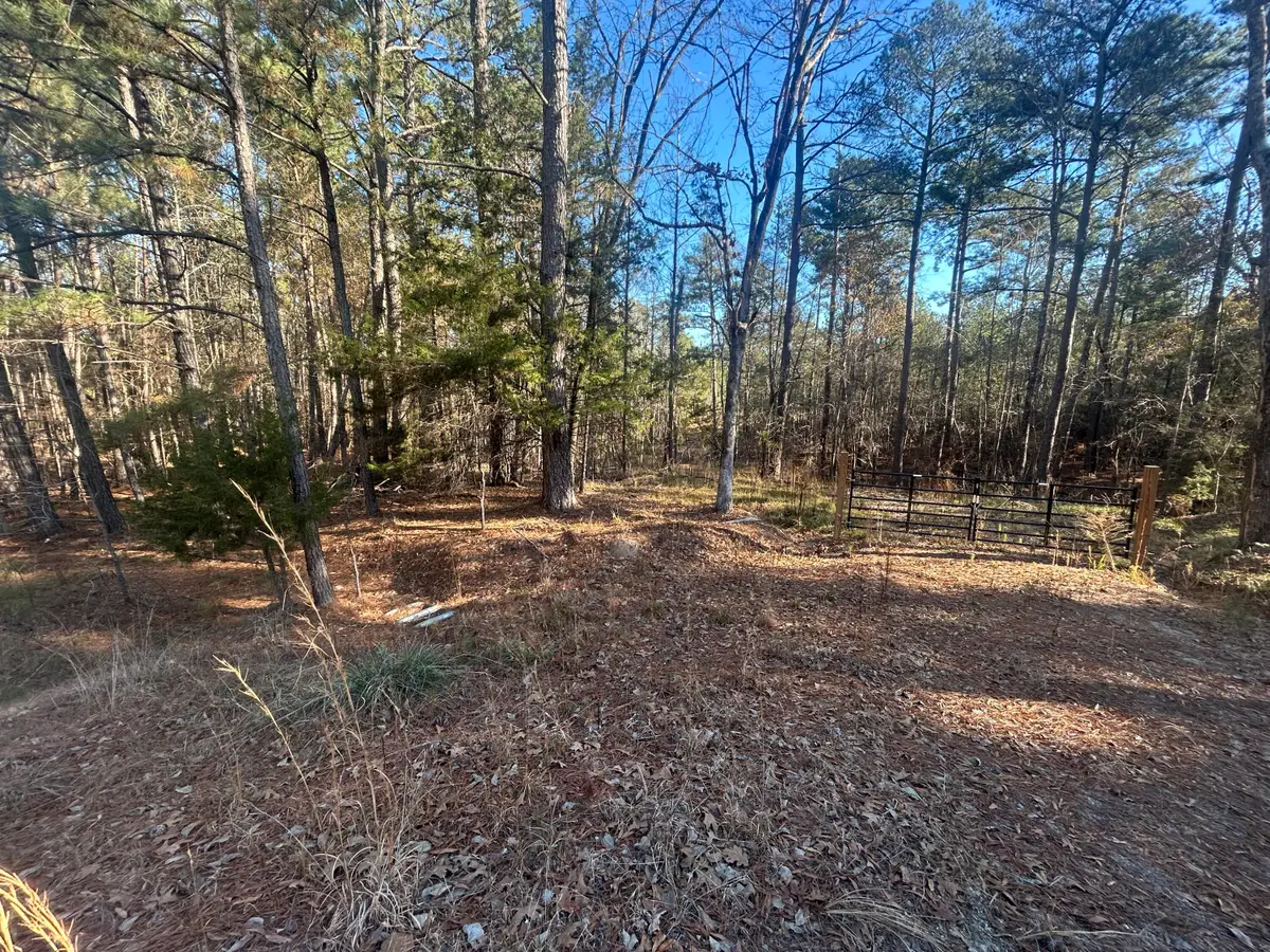 9.01 Hwy 220 E, Lincolnton, GA 30817 - #1