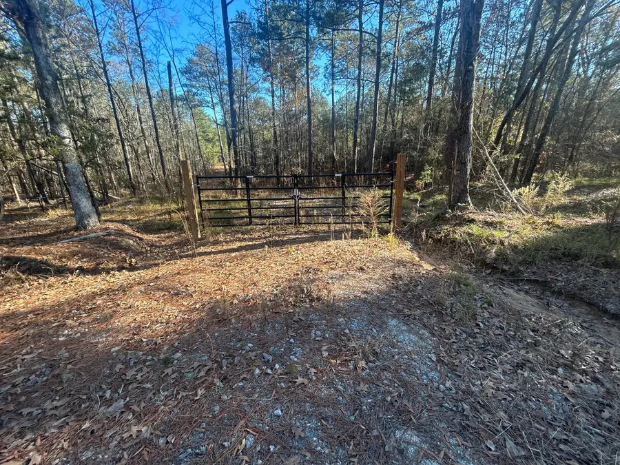 9.01 Hwy 220 E, Lincolnton, GA 30817 - #2