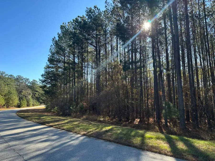 1252 Rogers Road, Tignall, GA 30668 - #2